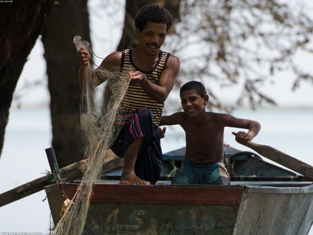 អត្ថប្រយោជន៍សម្រាប់អ្នកថ្មី